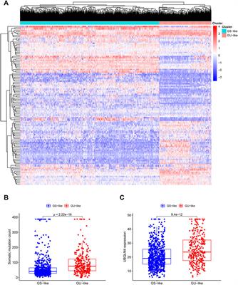 Genetic instability-related lncRNAs predict prognosis and influence the immune microenvironment in breast cancer